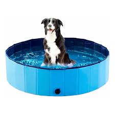 Piscina plegable para mascotas